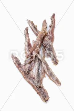 Preserved anchovies Stock Photos
