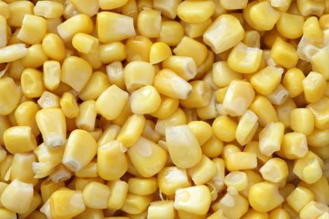 Preserved corn Stock Photos