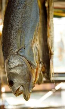 Preserved fish Stock Photos