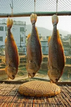 Preserved fish Stock Photos