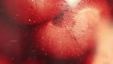 Preserved sour cherries in a jar, macro view Stock Footage 280669963