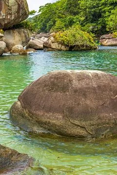 Preserverd rainforest invading the sea through the rocks in Trindade Paraty in Stock Photos