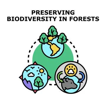 Preserving biodiversity in forests concept vector icon Stock Illustration