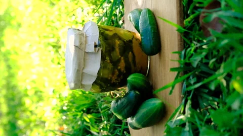Preserving cucumbers in a jar. Selective focus. Stock Footage 294788122