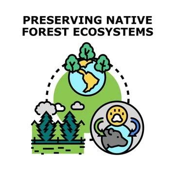 Preserving native forest ecosystems concept protecting animal habitats Stock Illustration