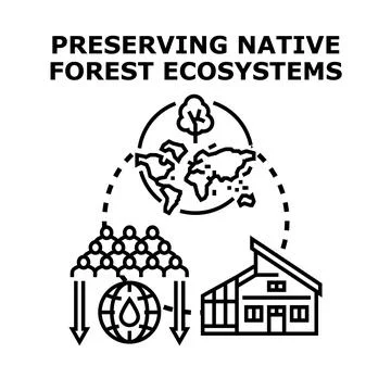Preserving native forest ecosystems concept illustration Stock Illustration