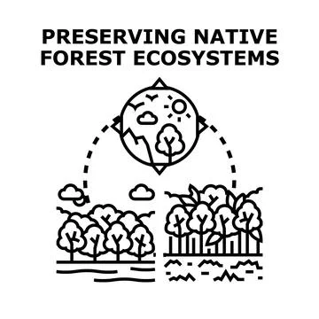 Preserving native forest ecosystems concept promoting earth protection Stock Illustration