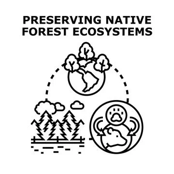 Preserving native forest ecosystems concept protecting animal habitats Stock Illustration