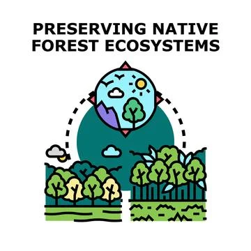 Preserving native forest ecosystems concept promoting earth protection Stock Illustration