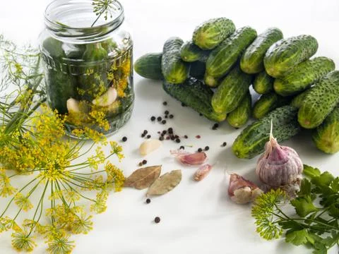 Preserving vegetables in a jar Stock Photos