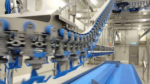 Presetting machinery in poultry processing industry. Chicken meat production lin Stock Footage 121433425