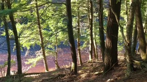 Presque Isle River Landscape Stock-Footage 277918119