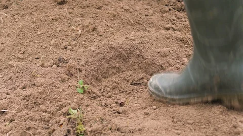 To press the boots to the earth 스톡 동영상 98655742