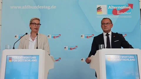 Press conference by the co-chairs of the Alternative for Germany party, Berlín,  Stock Footage 317123775