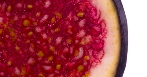 Press Down on the Piece of Fig 4K Stock Footage 96743943