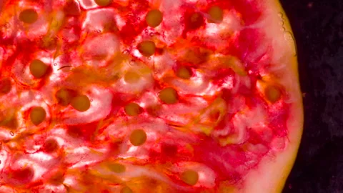 Press Down on the Piece of Fig HD Stock Footage 346552536