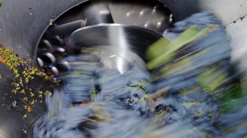   press squeezing the grape making wine in South of Italy Stock Footage 81186116