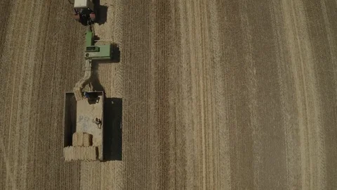 Press straw machine in the field Video stock 116565874