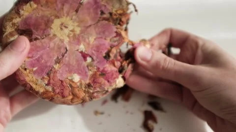 Pressed dry flowers herbal tea. Rose petals aromatherapy organic dry floral tea. Stock Footage 320052140