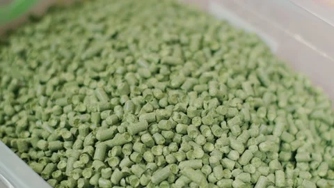 Pressed hops close up for beer production. Brewing, brewery factory. Vidéo 237200495