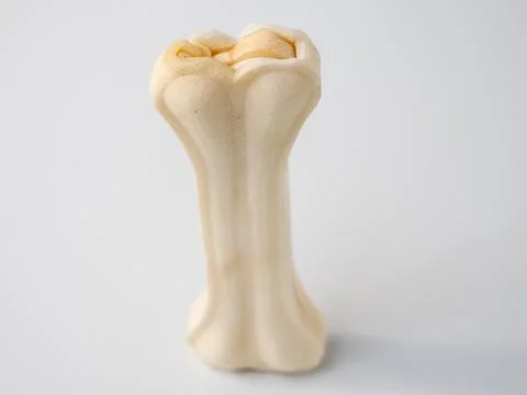 Pressed rawhide bone shaped dog chews. Stock Photos