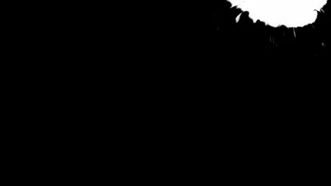 Pressed Screen Ink Bleed 5 Stock Footage 334878366