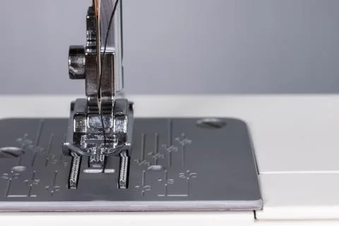 Presser foot with needle and thread with copy space. Sewing equipment. Close- Stock Photos