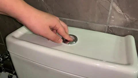 Pressing flush button on toilet to flush water Video stock 311753726
