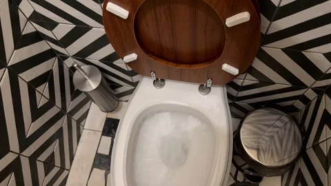 Pressing the flush button in the toilet Stock Footage 244240342