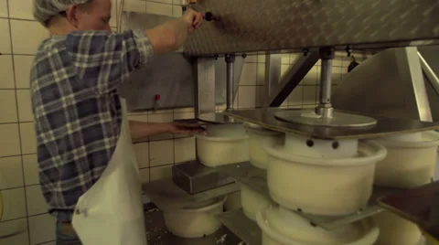 Pressing a mold with curd to Goude cheese Stock Footage 36189351
