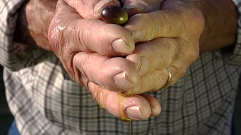 Pressing olives with hands Stockbeeldmateriaal 128013704