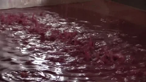 Pressing the reason for the wine Stock Footage 83871699