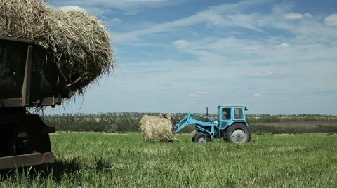 Pressing straw into ricks by baler Stock-Footage 62780546