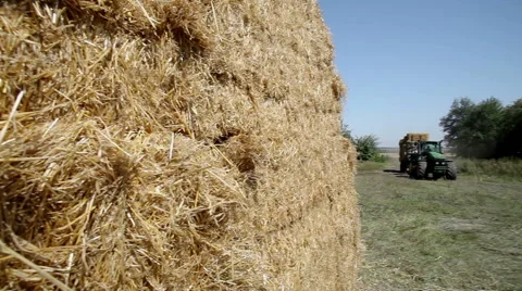 Pressing straw into ricks by baler 库存影片 62780656