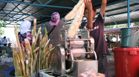 Pressing sugar cane Stock Footage 572982
