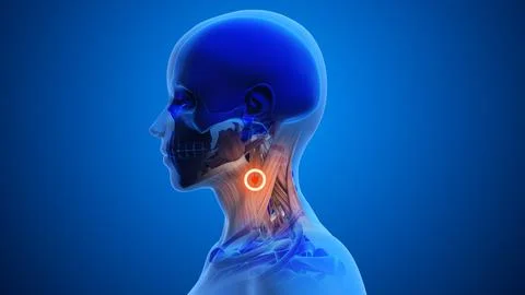 Pressure Point Below Ear for Swelling Illustrazione stock