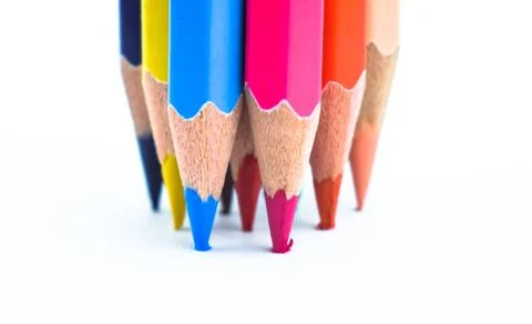 Pressuring bunch of different colored wood pencil on a white paper background Stock Photos