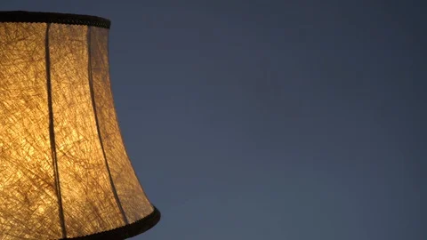 Pressurized fabric, beautifull lamp shell, stockvideo Stock Footage 86770928