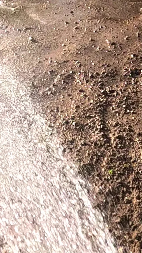 Pressurized water spray soaking dry soil and gravel outdoors Stock Footage 324058118