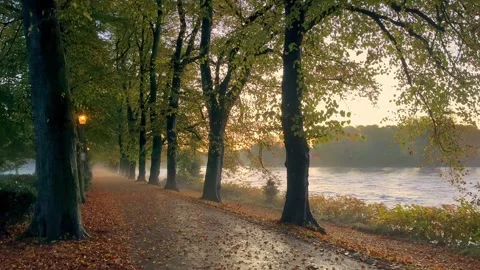 Preston, UK. 2024 Oct 17; Early morning mist in Avenham Park Stock Footage 288322740