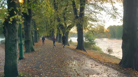 Preston, UK. 2024 Oct 17; Early morning mist in Avenham Park Stock Footage 288322785