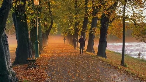Preston, UK. 2024 Oct 17; Early morning orange mist in Avenham Park Stock Footage 288322816