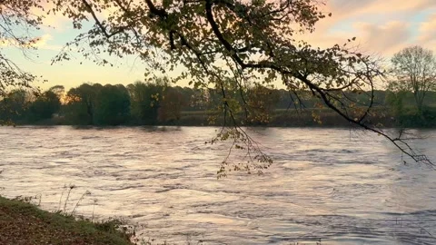 Preston, UK. 2024 Oct 17; Early morning mist in Avenham Park Stock Footage 288322853