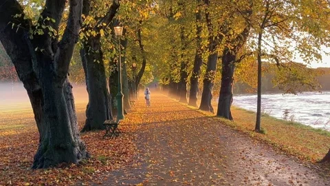 Preston, UK. 2024 Oct 17; Early morning mist in Avenham Park Stock Footage 288323535