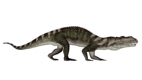 Prestosuchus dinosaur walking - 3D render Stock Illustration
