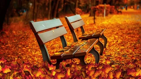 Pretty Animated Background of Autumn Falling Leaves Stock Footage 109228629