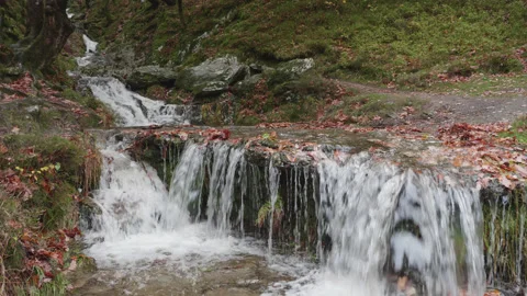Pretty autumn / fall scene of a small hillside stream and waterfall 1. 4K tripod Stock Footage 222691127