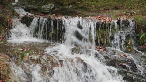 Pretty autumn / fall scene of a small hillside stream and waterfall 2. 4K tripod Video stock 222703744