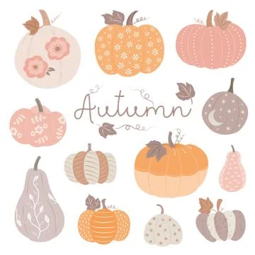 Pretty autumn pumpkins Stock Illustration