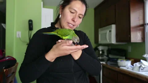 Pretty bird Video stock 22935116